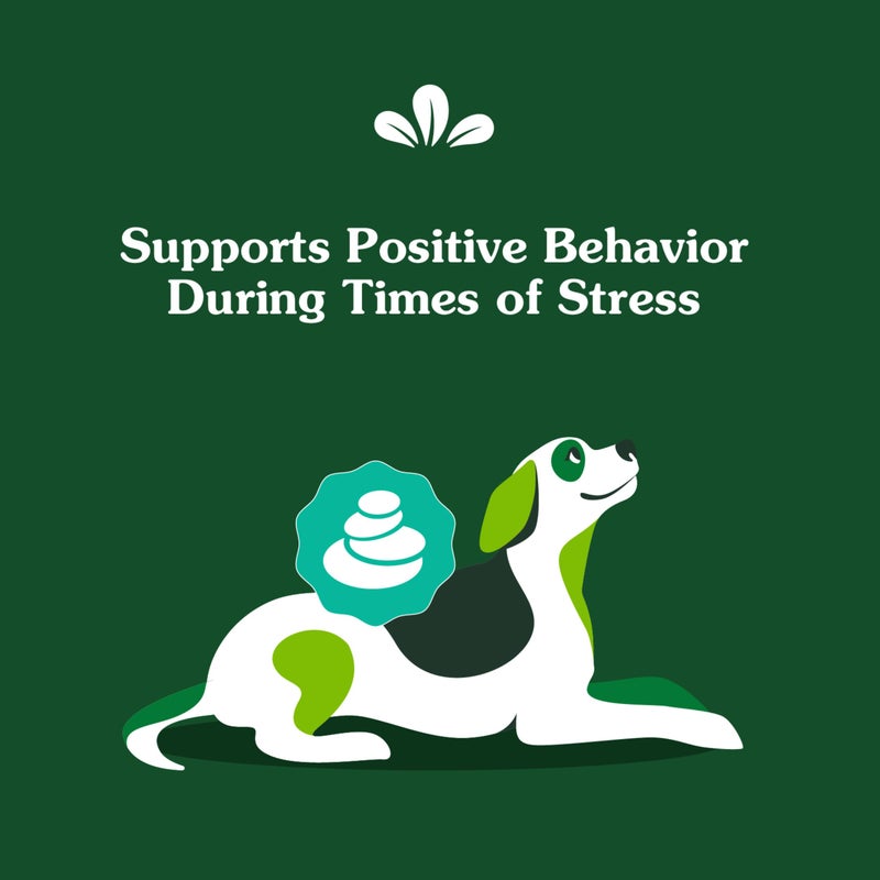 Greenies Supplements Calming Chews for Dogs Chicken Flavor, Dog Calming Chews, 14.7 oz. Container of 80 Count - Image 3