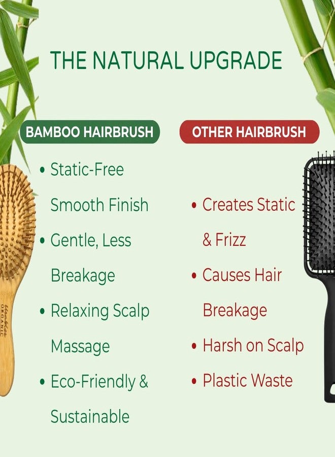 Usables ORGANIC Bamboo Hair Brush Oval Wooden Hair Brush for Hair Growth & Anti Hair Fall | Scalp Massage Detangling Brush | Static Free Frizz Control | Eco Friendly Hairbrush for Women & Men - Image 4