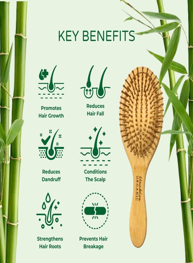 Usables ORGANIC Bamboo Hair Brush Oval Wooden Hair Brush for Hair Growth & Anti Hair Fall | Scalp Massage Detangling Brush | Static Free Frizz Control | Eco Friendly Hairbrush for Women & Men - Image 2