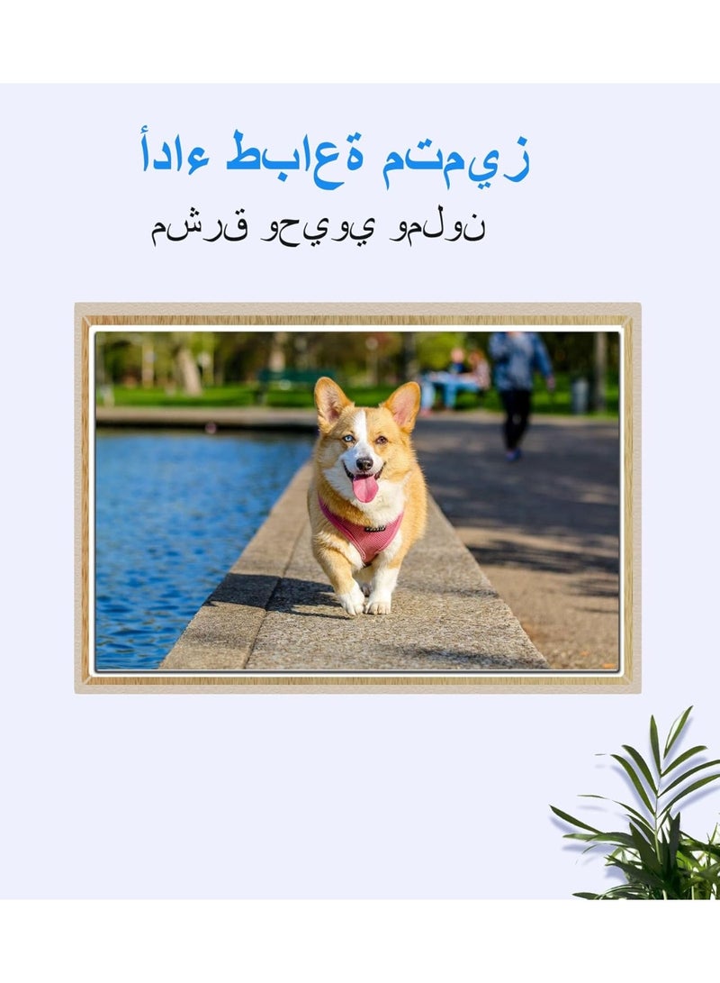 خراطيش حبر PG-445XL CL-446XL 445 446 عالية الإنتاجية بديلة لخراطيش حبر كانون 445 446 لخراطيش حبر كانون 445 446 متوافقة مع طابعات كانون Lp2840 Mg2440 Mg2540 Mg2940 (عبوتان، 445XL 446XL) - Image 5