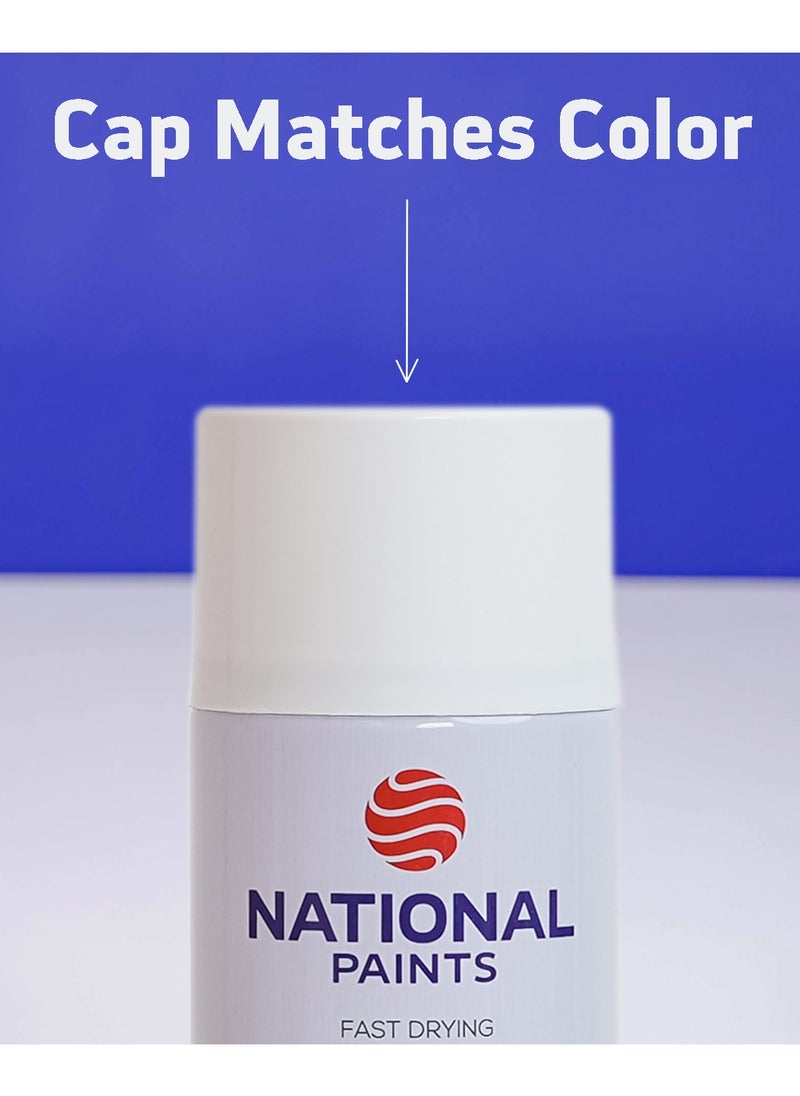 NATIONAL PAINTS - Fast Drying Acrylic Spray Paint CLEAR 900 - Image 1