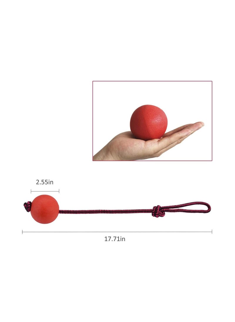 SYOSI - Dog Ball on a Rope 3 Pack Natural Interactive Rubber Ball for Fetch Catch Throw and Tug of War - Image 1