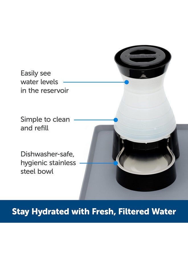 PetSafe Healthy Pet Water Station  Small, 64 Oz Capacity, Gravity Cat & Dog Waterer, Removable Stainless Steel Bowl Resists Corrosion & Stains, Easy To Fill, Filter Compatible - Image 2