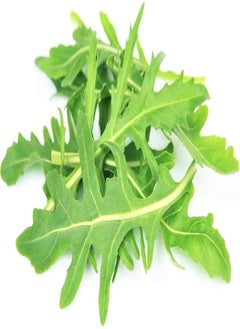 جرجير السلطة (100 بذرة)