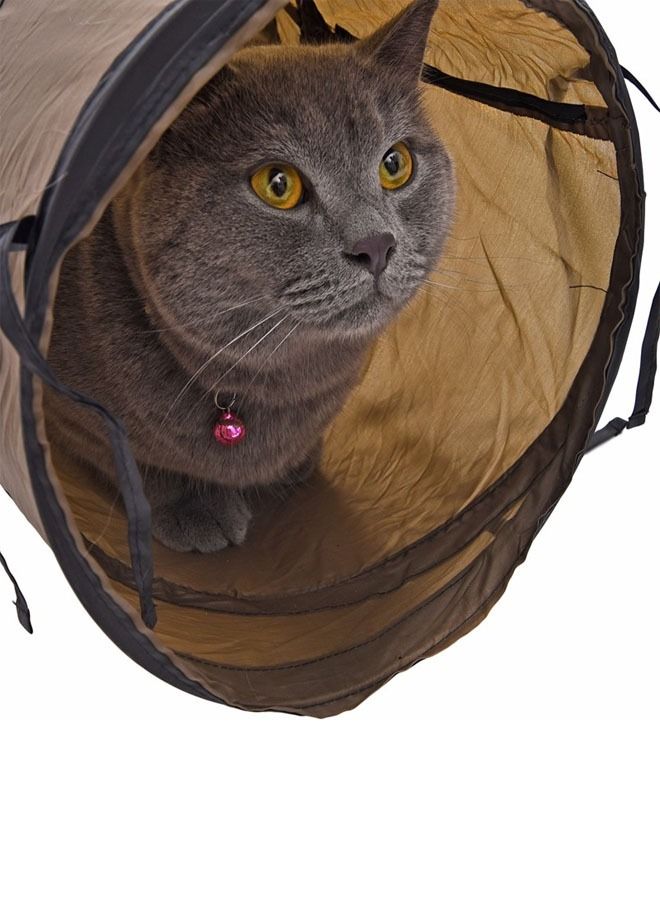 T-shaped pet tunnel 3-way folding interactive tunnel for indoor use - Image 2