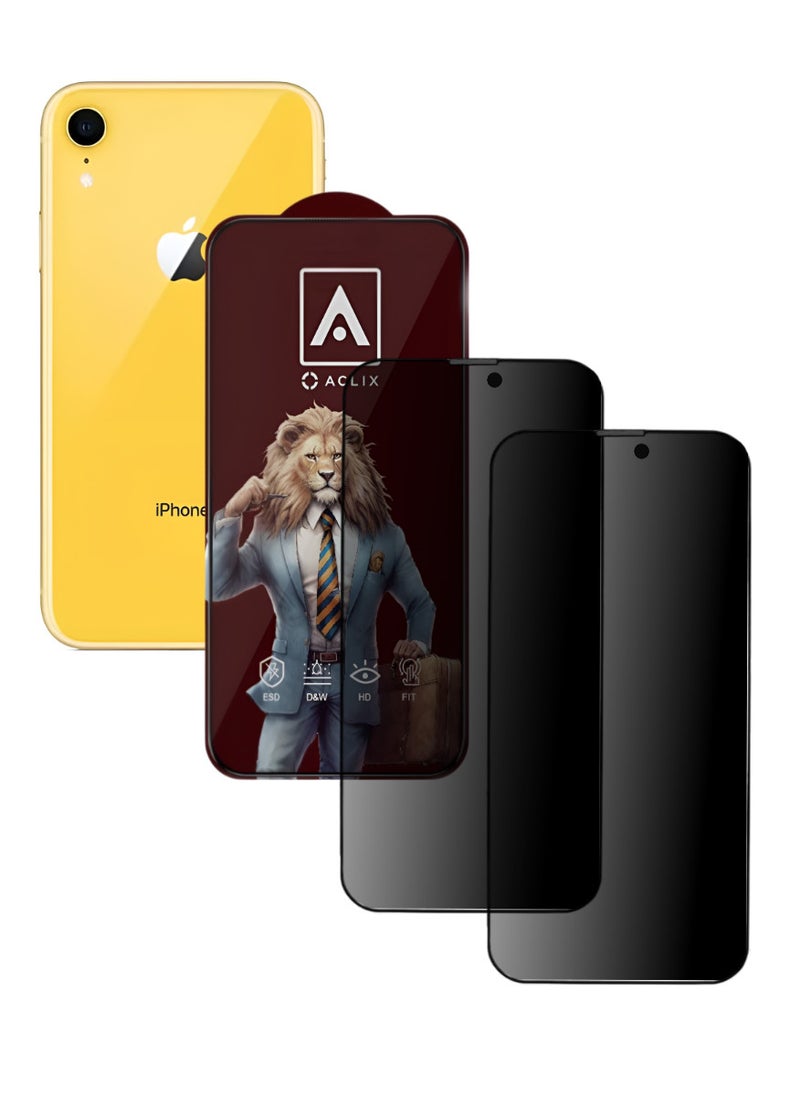 ACLIX 2 Pieces Antistatic ESD Dustproof Premium Quality High Definition Anti-Spy Privacy Tempered Glass Screen Protector Designed For  iPhone XR - Image 1