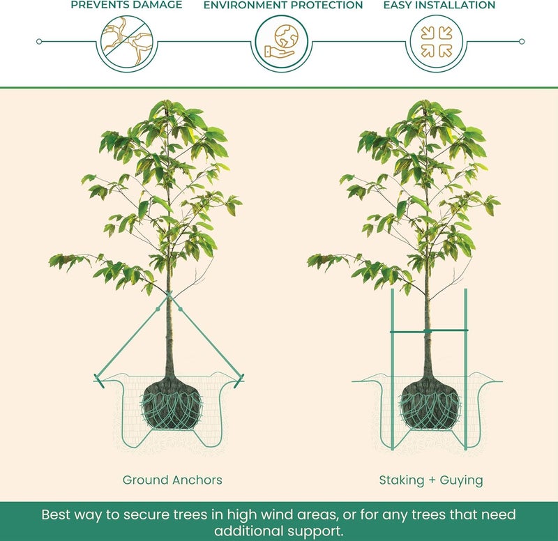 DeepRoot ArborTie Tree Straps for Staking and Guying, Flexible Tree Support Straps, Versatile Tree Rope, Tree Ties For Street Trees, Orchards, and Landscape Trees, 250’ Roll, Olive (AT 2G) - Image 4