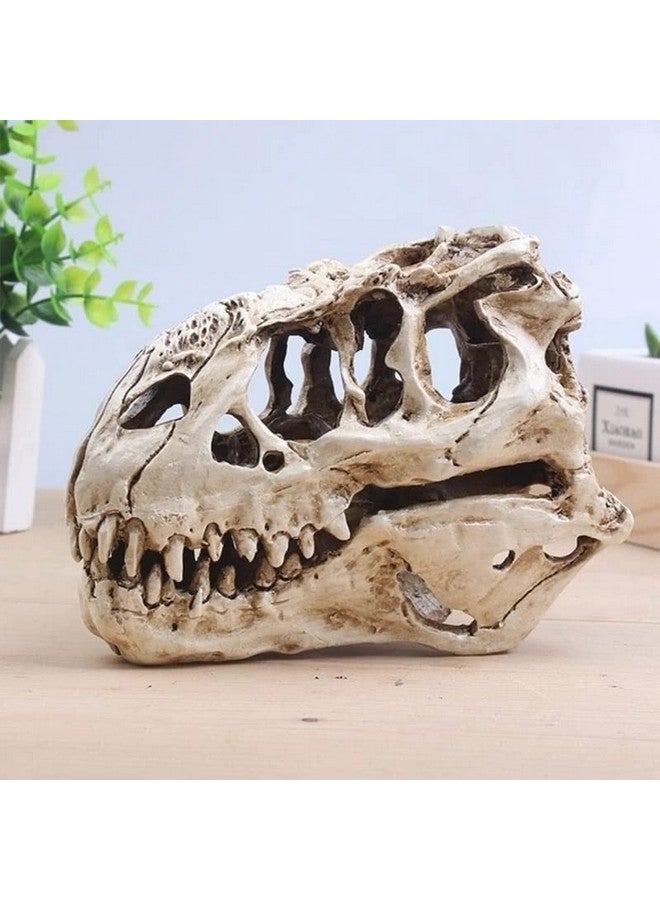 Koolouispoper T-Rex Skull Dinosaur Resin Craft Gifts Home Decor Replica Fish Tank Statue Tyrannosaur Skull Skeleton Aquarium Decoration (B) - Image 3
