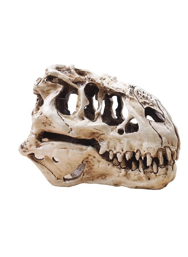 Koolouispoper T-Rex Skull Dinosaur Resin Craft Gifts Home Decor Replica Fish Tank Statue Tyrannosaur Skull Skeleton Aquarium Decoration (B) - Image 1