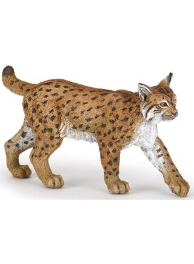 Egl Collecta Lynx