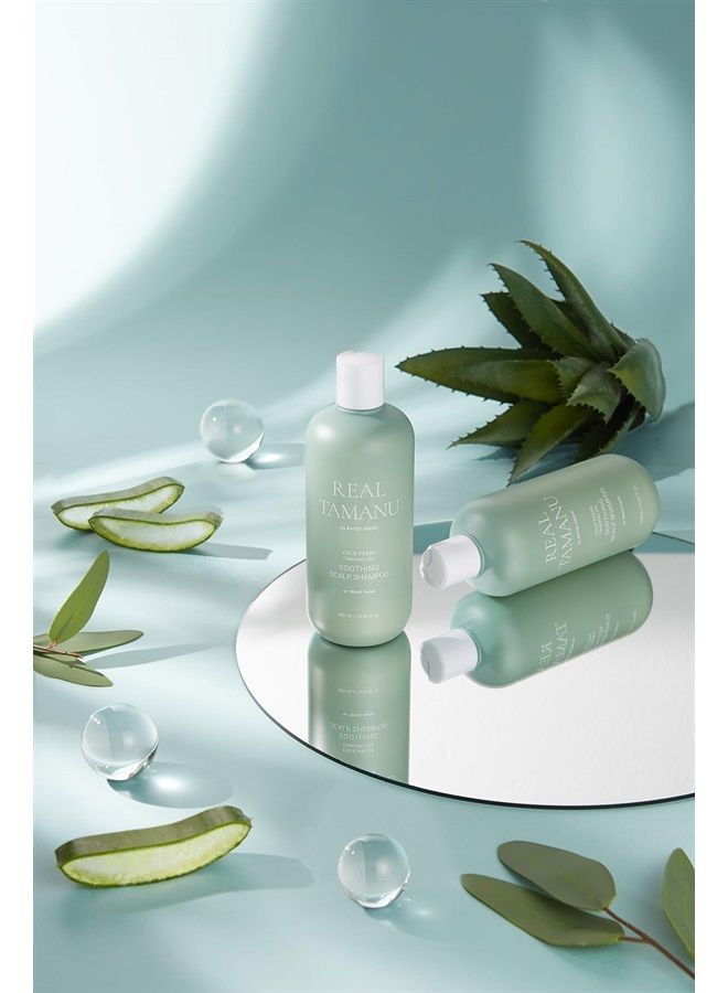 RATED GREEN Tamanu Oil Soothing Scalp Shampoo for Sensitive and Troubled Scalp - 13.52 fl. Oz. - Women & Men - Image 3