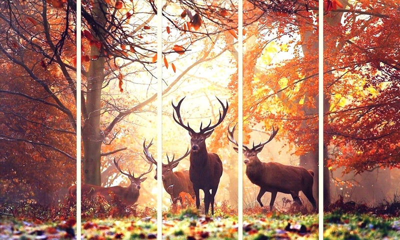 KYARA ARTS Multiple Frames, Beautiful Deers Nature Wall Painting for Living Room, Bedroom, Office, Hotels, Drawing Room Wooden Framed Digital Painting (50inch x 30inch) (Design-1) - Image 5