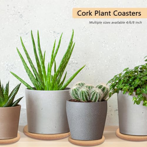 Venyat 3 Sizes Cork Plant Coasters, 4/6/8 Inch Double Layers Thickened Cork Plant Mats, 10 Pcs Cork Coasters for Plants, Plant Coasters for House Plants - Image 5