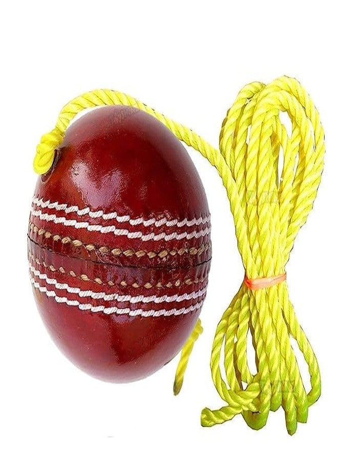 CRAZX Leather Cricket Shot Practice Hanging Ball, String Cricket Ball and Knocking Cricket Ball with Rope (Multi-Color) (Pack of 1) - Image 1