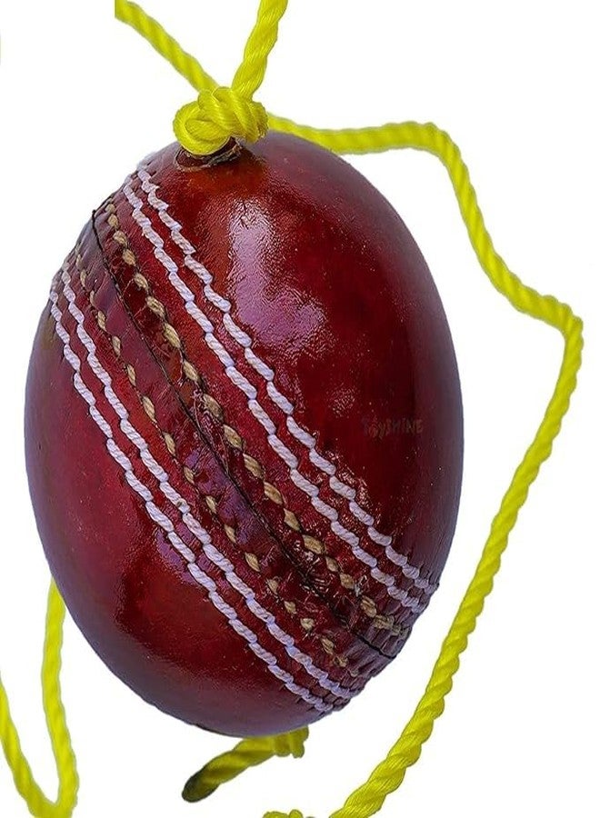 CRAZX Leather Cricket Shot Practice Hanging Ball, String Cricket Ball and Knocking Cricket Ball with Rope (Multi-Color) (Pack of 1) - Image 2