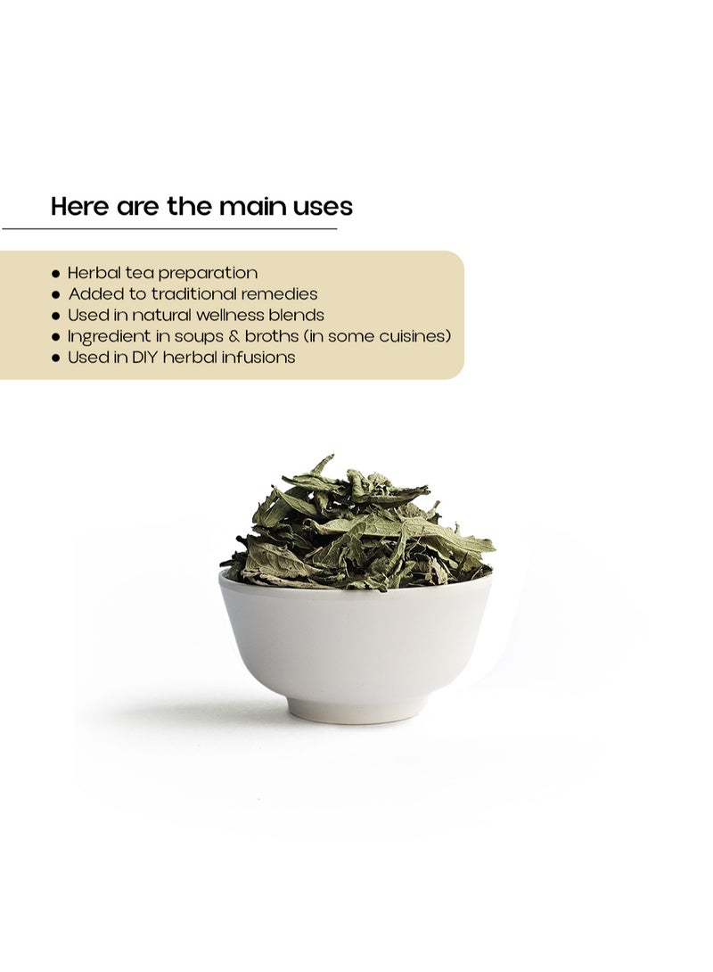 OGOC Nettle Leaves Dried Herbal Leaves Stinging Nettle Leaf Aromatic Green Leaves Traditional Culinary Herb Pantry Essential For Tea Soups Seasoning Cooking - Image 3