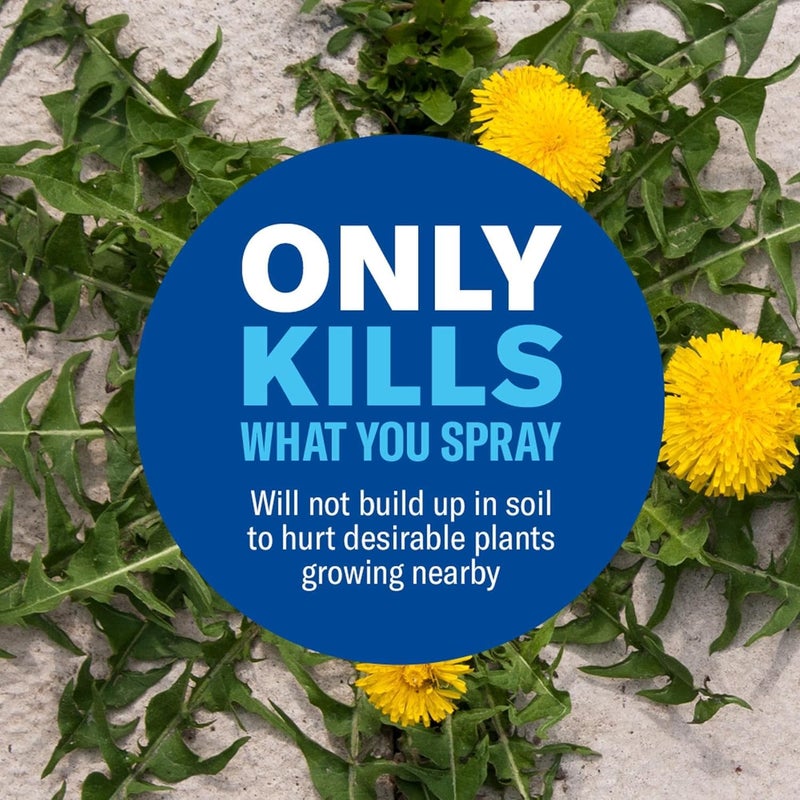 BioAdvanced Weed & Grass Killer Spray Super Concentrate - 64 fl oz Bottle - Weed Killer Spray - Visible Results in 3 Hours - Rainproof in 10 Minutes - Image 2
