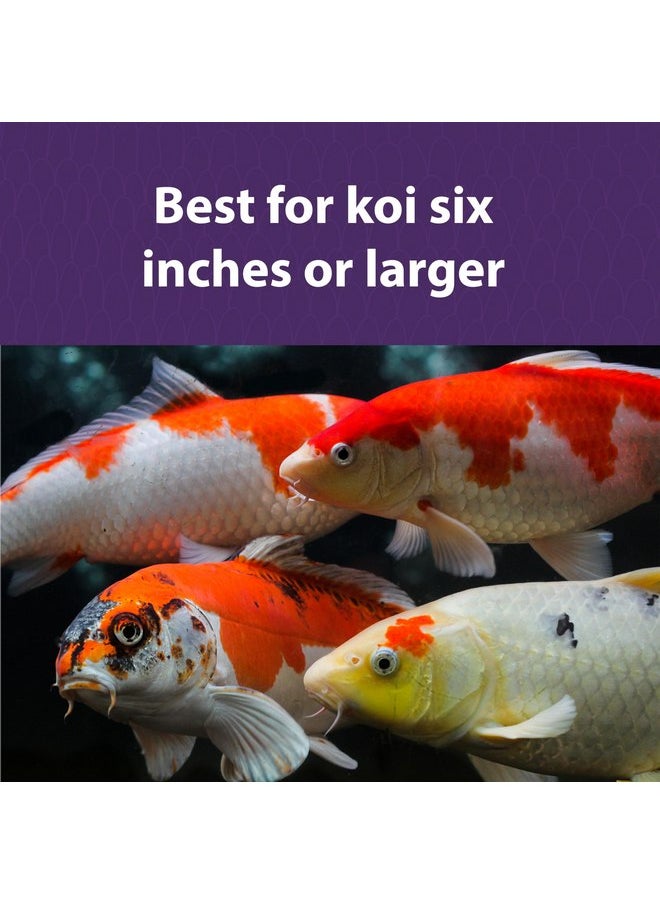 Mazuri Koi | Platinum Nuggets Nutritionally Complete Koi Fish Food | for Medium Koi - 3.5 Pound (3.5 lb.) Bag - pzsku/Z8C9CC958646ADFF5DAD6Z/45/_/1737031787/a1a00d49-0232-439d-ab69-664bb4ccad9a