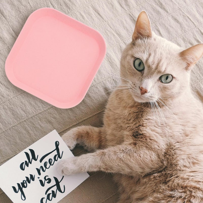 🐾 وعاء طعام للقطط بتصميم مريح للأكل الصحي مع قاعدة مانعة للانزلاق وقابلة للتكديس - Image 5