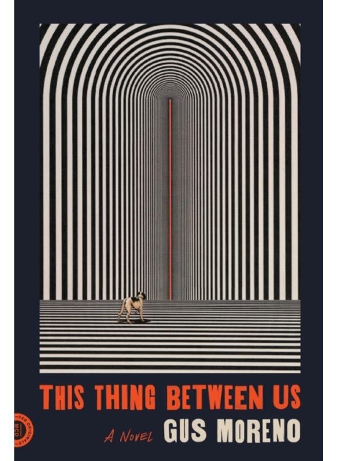 This Thing Between Us : A Novel