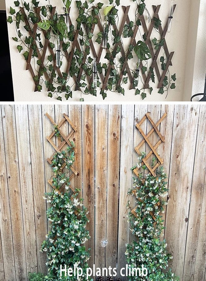 CJGQ Wooden Lattice Wall 2Pack-Expandable Plant Garden Trellis for Climbing Plants Outdoor Air Plant Vertical Rack Wall Decor for Room Patio - Image 5
