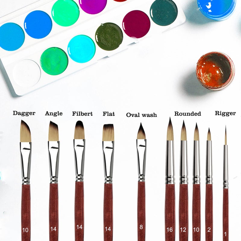 Sdanart Watercolor Brushes Professionalï¼Œ10 PCS Artist Paint Brush Shapes Including Pointed Rounds, Flatsï¼ŒFilbertï¼ŒCat's Tongue Oval Washï¼ŒDaggerï¼ŒSuitable for Acrylics Water Color Oil Gouache Ink - Image 3