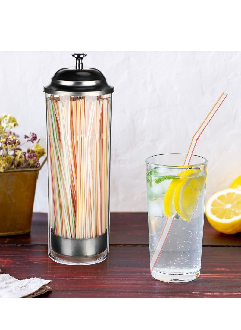 SYOSI - Straw Dispenser, Stainless Steel Plastic Drinking Straw Organizer Container with Lid, Transparent Drinking Straw Holder (27cm / 10.6in, Drinking Straw is Not Include) - Image 1