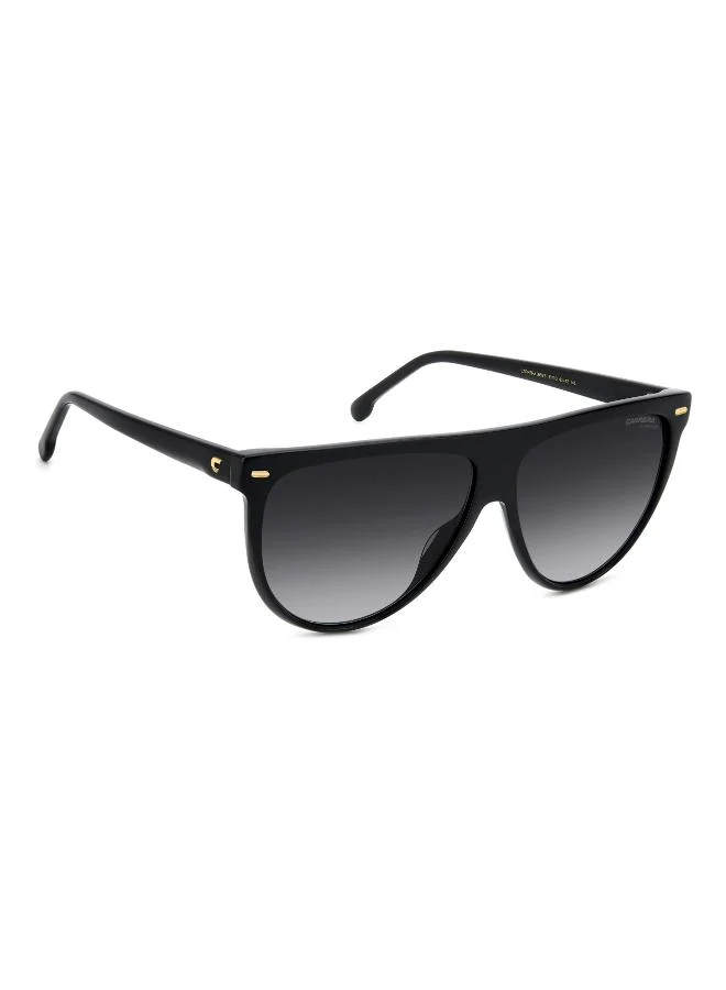 Carrera  Wayfarers Sunglasses for Women | Best Price UAE