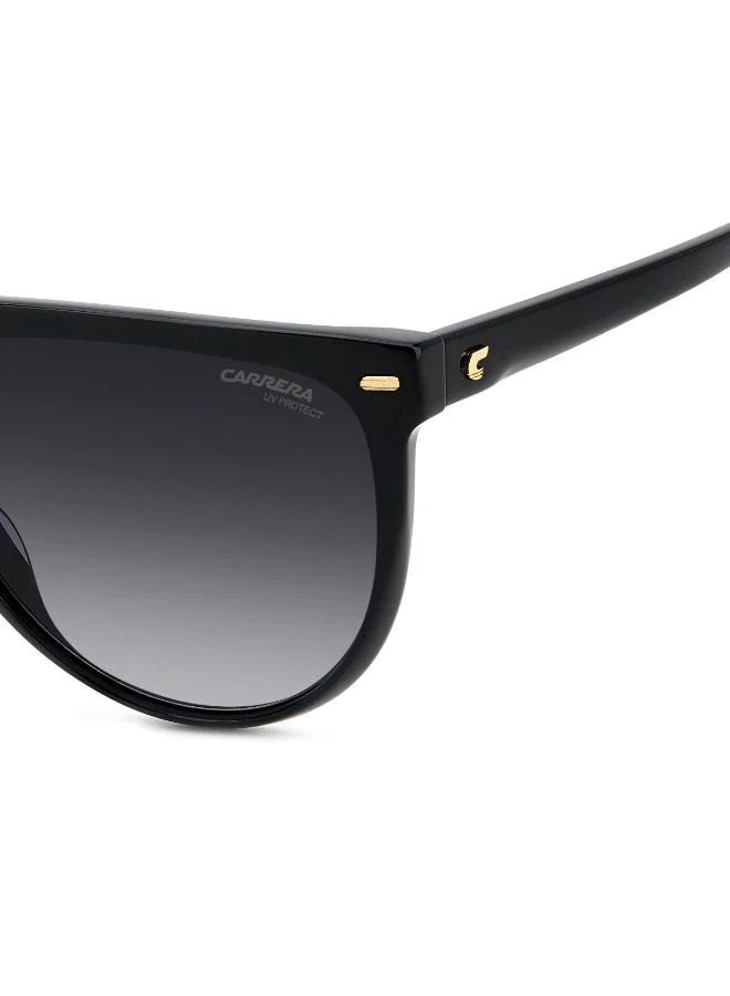 Carrera  Wayfarers Sunglasses for Women | Best Price UAE