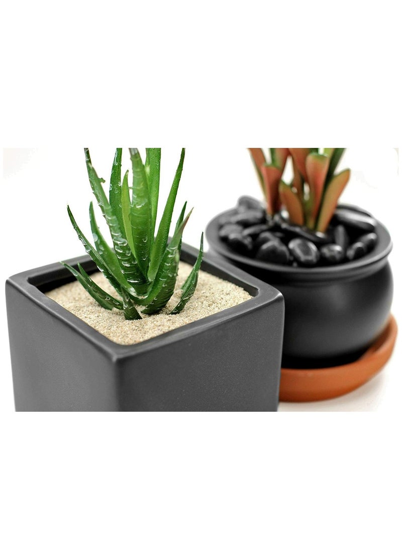 راكو رمل طبيعي متعدد الأغراض من راكو لأرضيات البناء ونباتات أحواض السمك و DIY 1 كجم (أبيض)  - Image 2