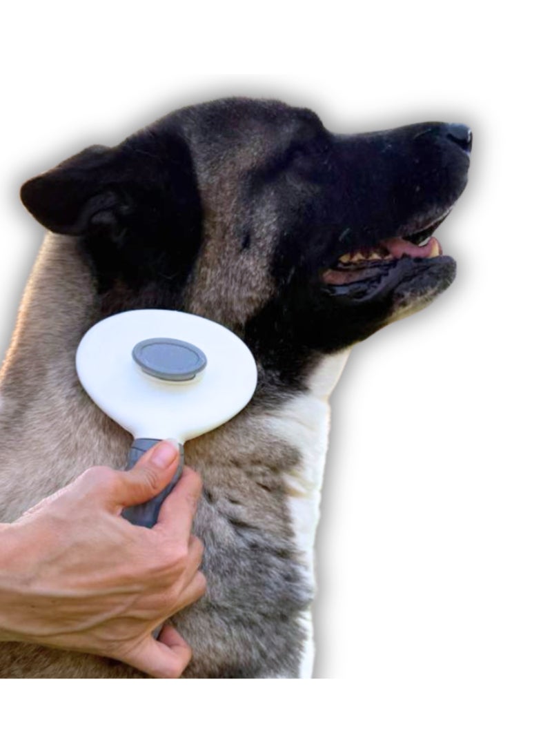 pawfect world Dog and cat hair one key remove hair comb pet massage shedding remover grooming pet hair brush  - Image 3