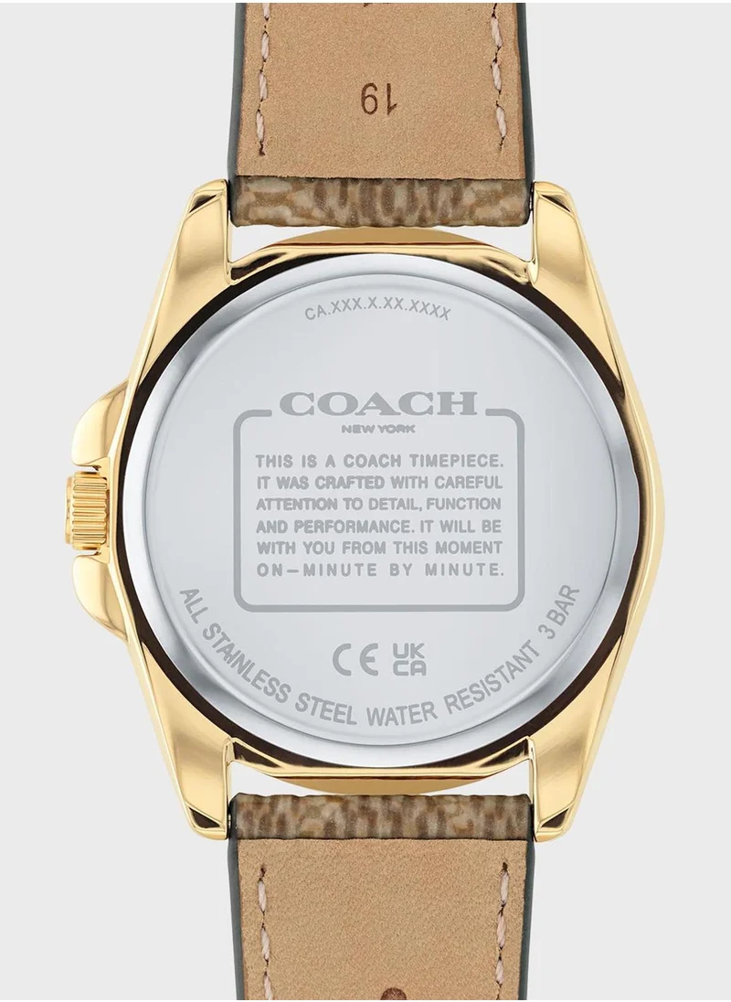 COACH Greyson Mesh Strap Analog Watch