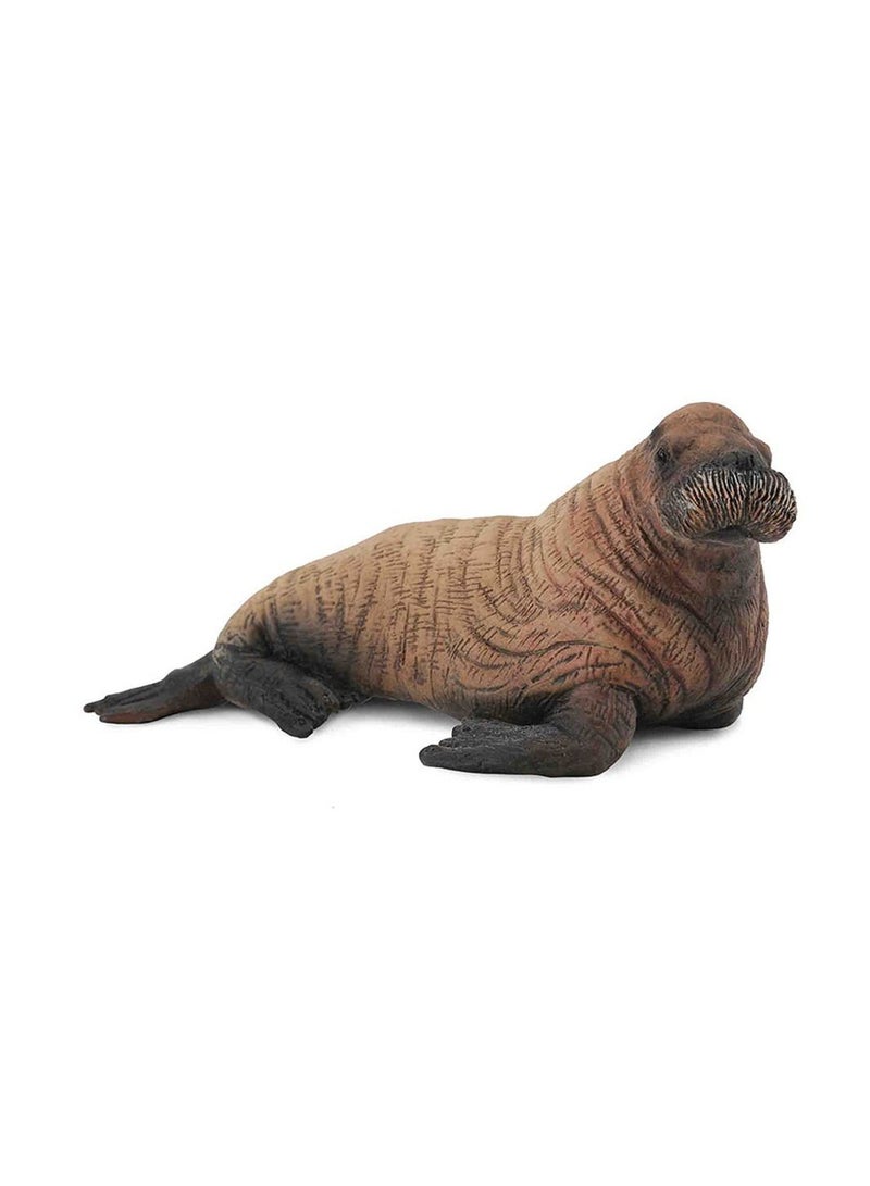 Collecta - Walrus Calf - 88570