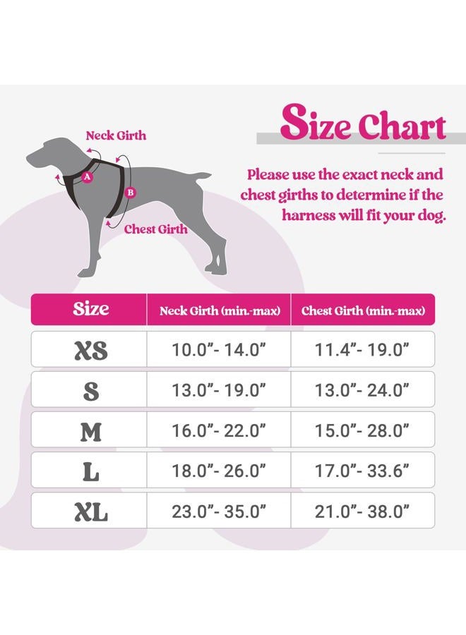 Rabbitgoo Dog Harness No Pull with 2 Leash Clips, Adjustable Soft Padded, Reflective Oxford No Choke Pet Vest with Easy Control Handle for Large Dogs, Hot Pink, L - Image 2