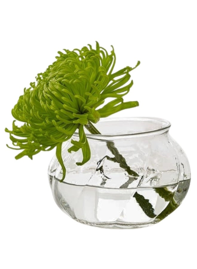 أيكيا مزهرية زجاج شفافة حديثة – ارتفاع 8 سم × قطر 12 سم، مزهرية ديكورية لترتيب الزهور لغرفة المعيشة، غرفة النوم، والمكتب - Image 1