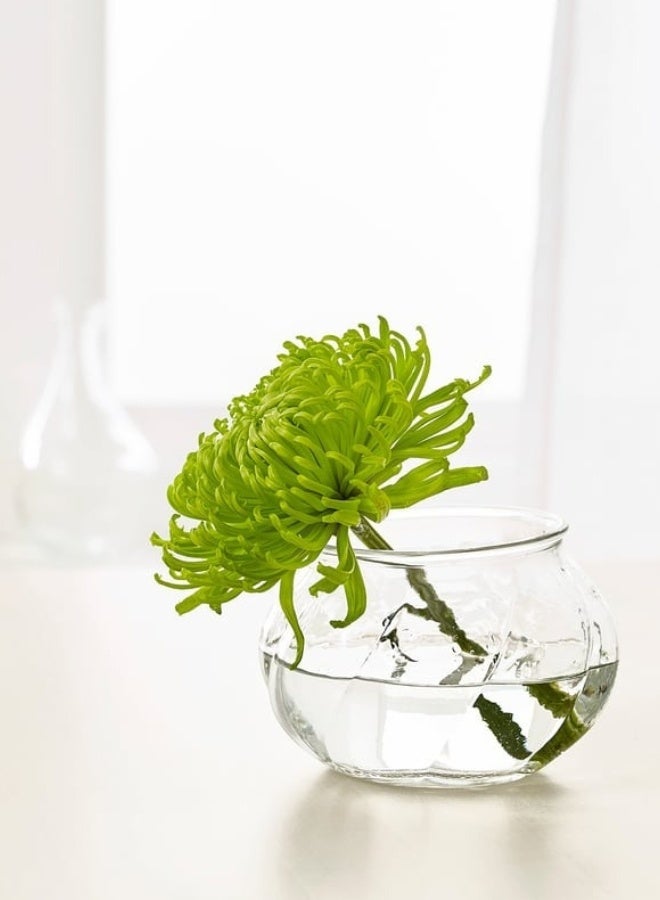 أيكيا مزهرية زجاج شفافة حديثة – ارتفاع 8 سم × قطر 12 سم، مزهرية ديكورية لترتيب الزهور لغرفة المعيشة، غرفة النوم، والمكتب - Image 3