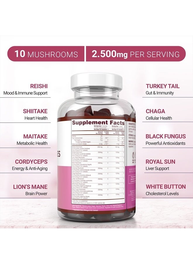 Purify Life - World's First 10-Plex, Mushroom Lions Mane, 90 Gummies - Image 1