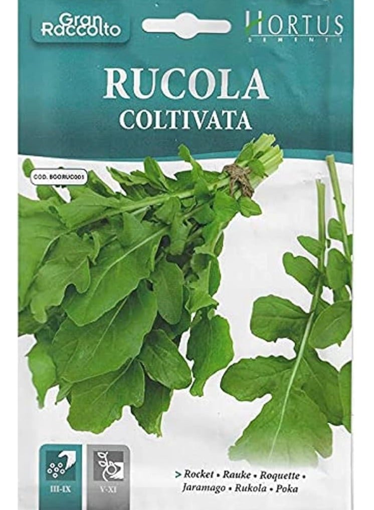 هورتس بذور هورتوس روكيت عالية الجودة (Rucola Coltivata) (صنع في إيطاليا) بواسطة Hortus Sementi - Image 2