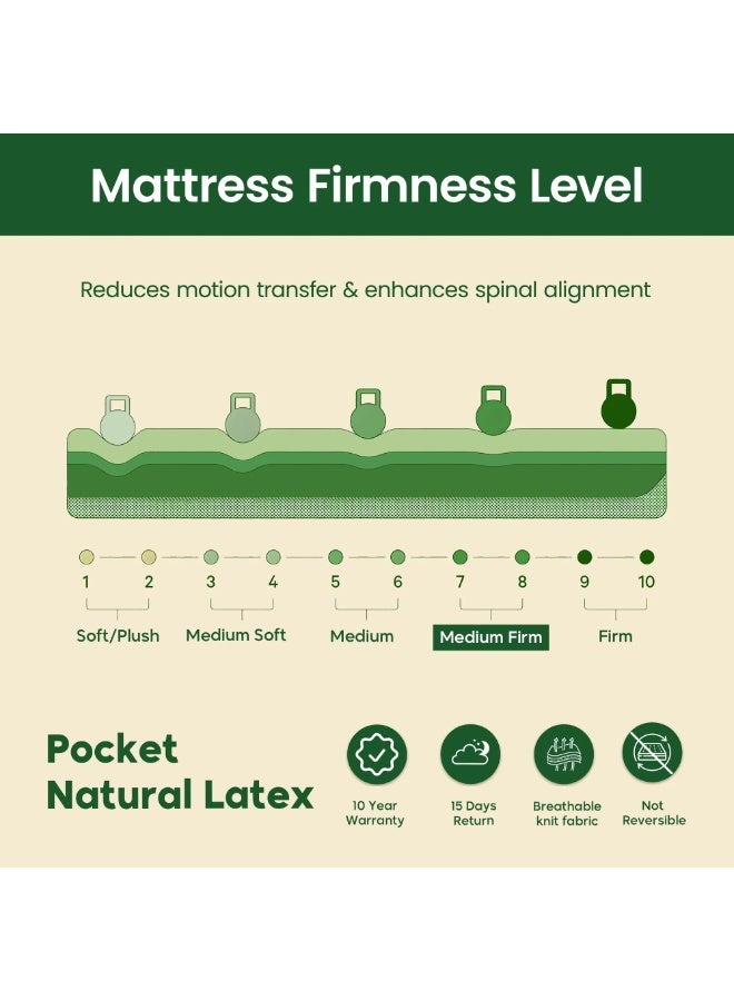 Easeliving Pocket Spring 7-Zone Natural Organic Latex Queen Size Mattress 160x200 cm – 30 cm Thick Medium Orthopedic Mattress with Breathable Knitted Fabric & Edge Support | GOLS Certified - Image 5