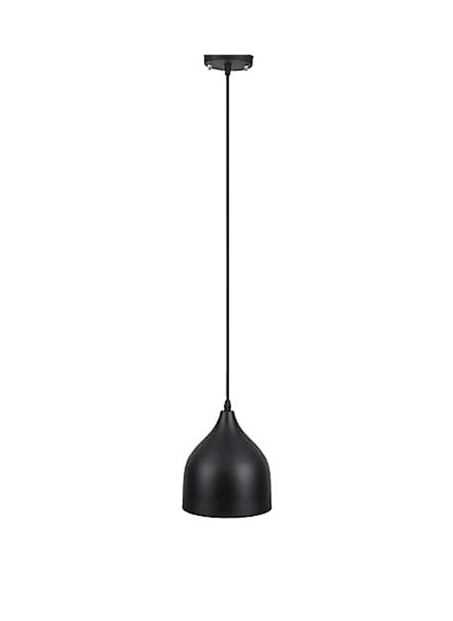 Generic Single Metal Lighting Pendant 