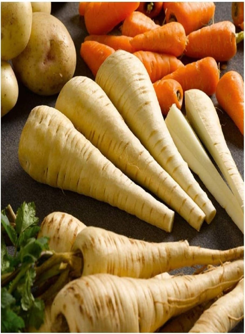 GGOOT Parsnip - Tender and True - 300  (Organic) - Image 1
