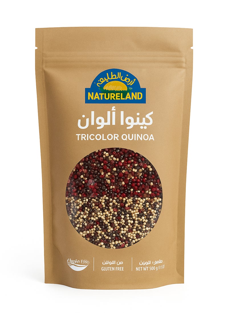 أرض الطبيعة الكينوا ثلاثية الألوان - Image 1