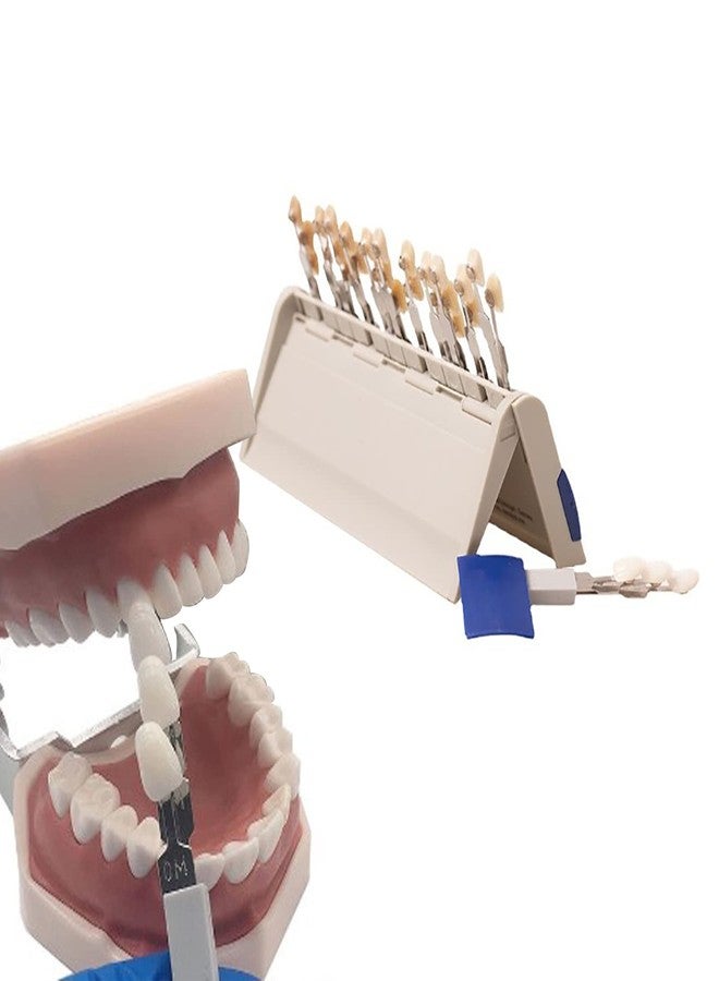 Brrnoo Teeth Whitening Shade Porcelain 29 Colors Set Tooth Bleaching Shade Chart Material Equipment Oral Care - Image 5