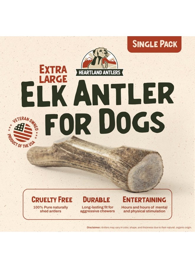 Heartland Antlers Heartland Elk Antlers for Dogs (Whole Elk, 8+", X-Large, 1-Pack) - Grade A, Naturally Shed | Safe, Long-Lasting Chew for Aggressive Chewers & Puppies | USA Made | Splinter-Free | Veteran Owned  - Image 2