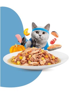 Cat Food Mince With Salmon - Weight Control Pouch 70G (12 Pouch) - pzsku/Z8CBC6828A7A8B513B8E1Z/45/_/1726053357/9a7e77c6-b297-4969-bfad-ac56f44e11e7