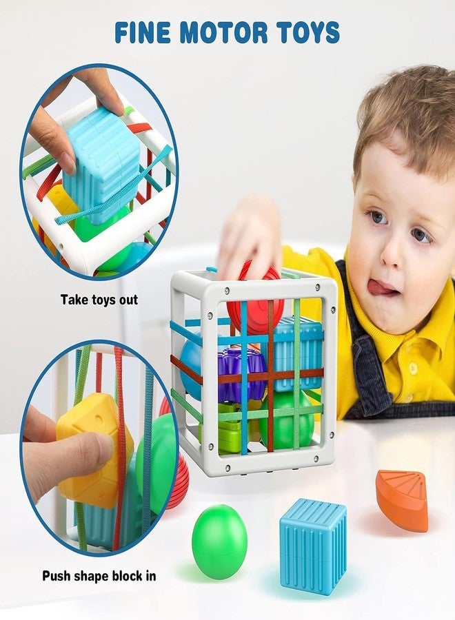 VARIYA ENTERPRISE Shape Sorter Baby Toys 12-18 Months | Montessori Learning & Developmental Toy | Storage Cube Bin with 6 Sensory Shape Blocks | Educational Toy for Toddlers - Image 4
