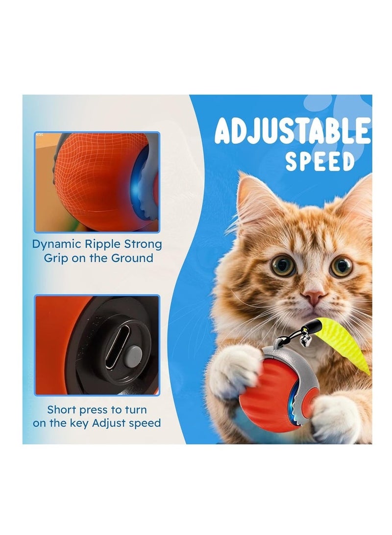العاب قطط – كرة قطط أتوماتيكية، لعبة كرة ذكية دوارة 360° للقطط المنزلية، لعبة هادئة بشحن USB، كرة متحركة ذكية لتسلية القطط، هدية مثالية للقطط البالغة والقطط الصغيرة (برتقالي) - Image 2