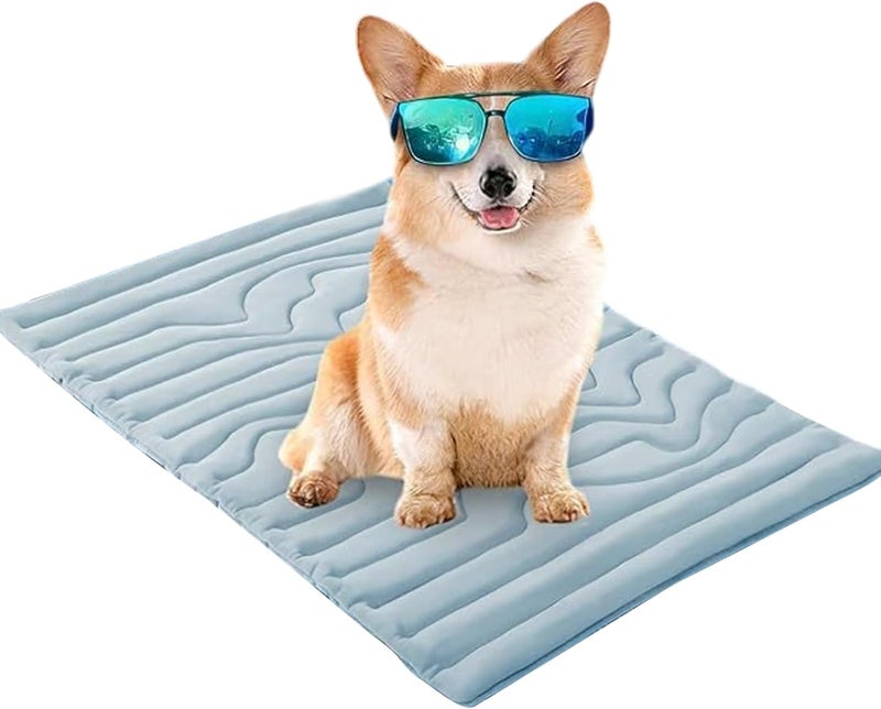Transportable Cold Pet Refrigerating Pad Soft Velutinous Mat for Canines Cats Inside Use Water Immune Face Easy Storage Season Essential Travel Gentle Mat - Image 1