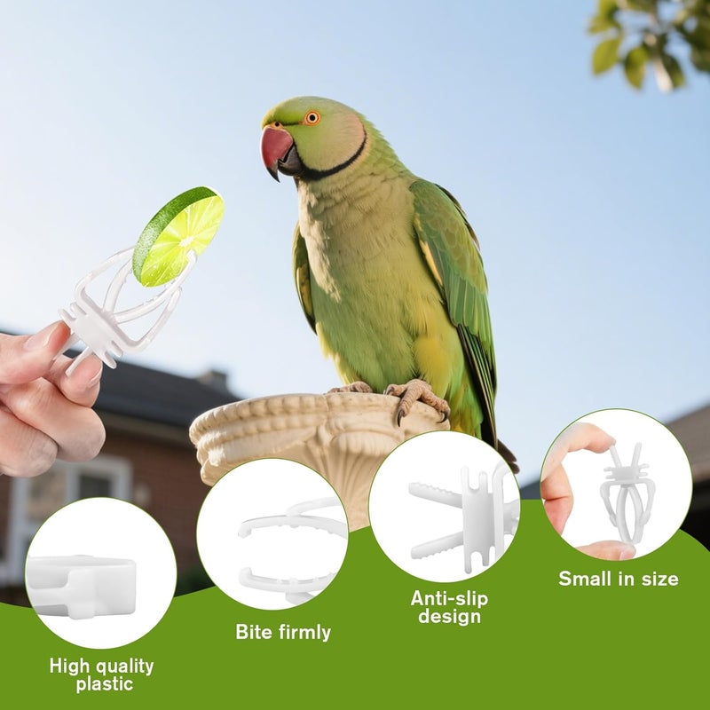 Bruislard 6 Pack Bird Cage Clips Bird Cage Food Holder Parrot Fruit Vegetable Clips White Cages Feeder Clip for Cockatoo Cockatiel Budgie Parakeet Macaw Conure - Image 5