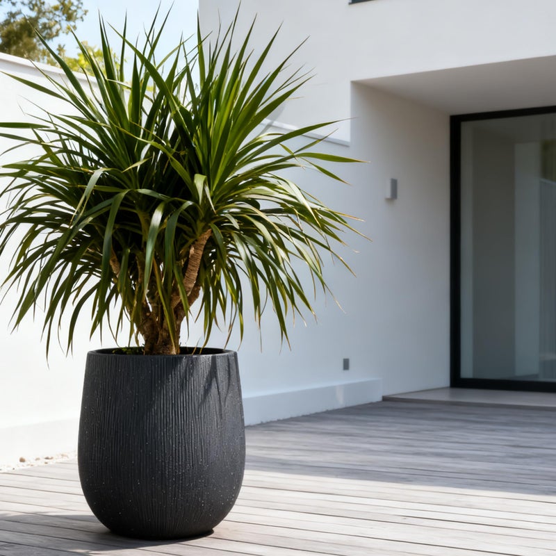 Worth Garden Large Dark Gray Round Planter, 12.5" x 18.5" Lightweight Magnesium Oxide Cement Plant Pot with a Striped Textured Finish, Raised Pattern Concrete Look, Drainage Hole, Indoor & Outdoor - Image 2